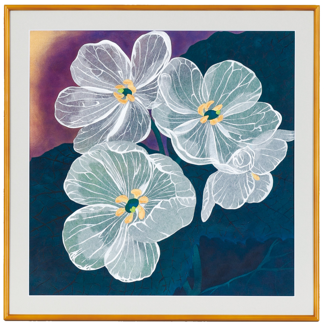 透華 ーサンカヨウー